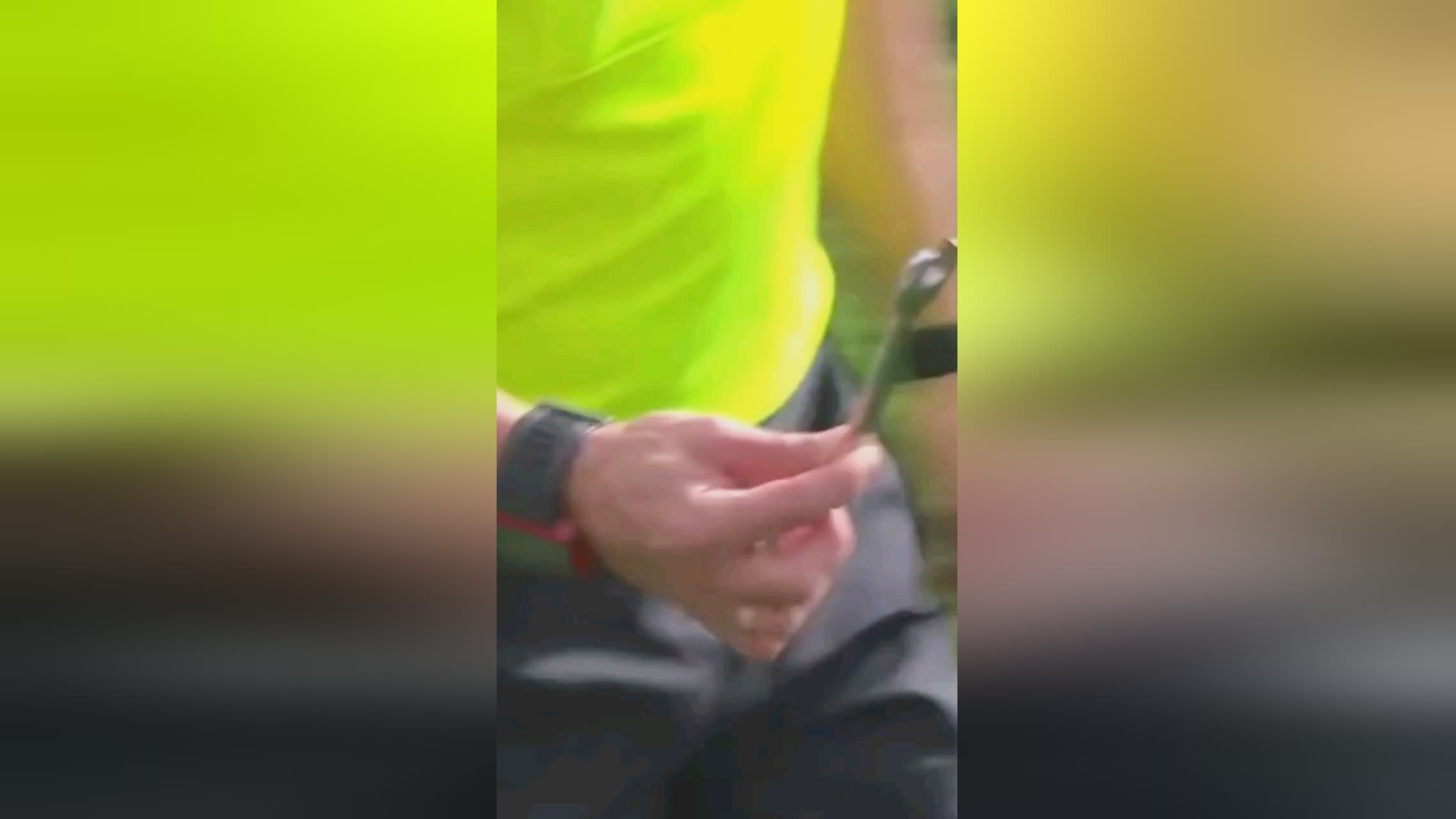 愈加普遍
